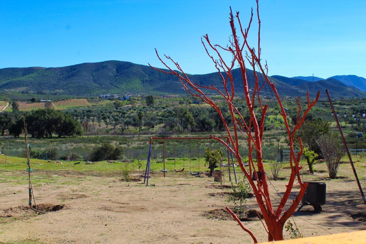 Rancho Matalote En Valle De Guadalupe Exterior photo