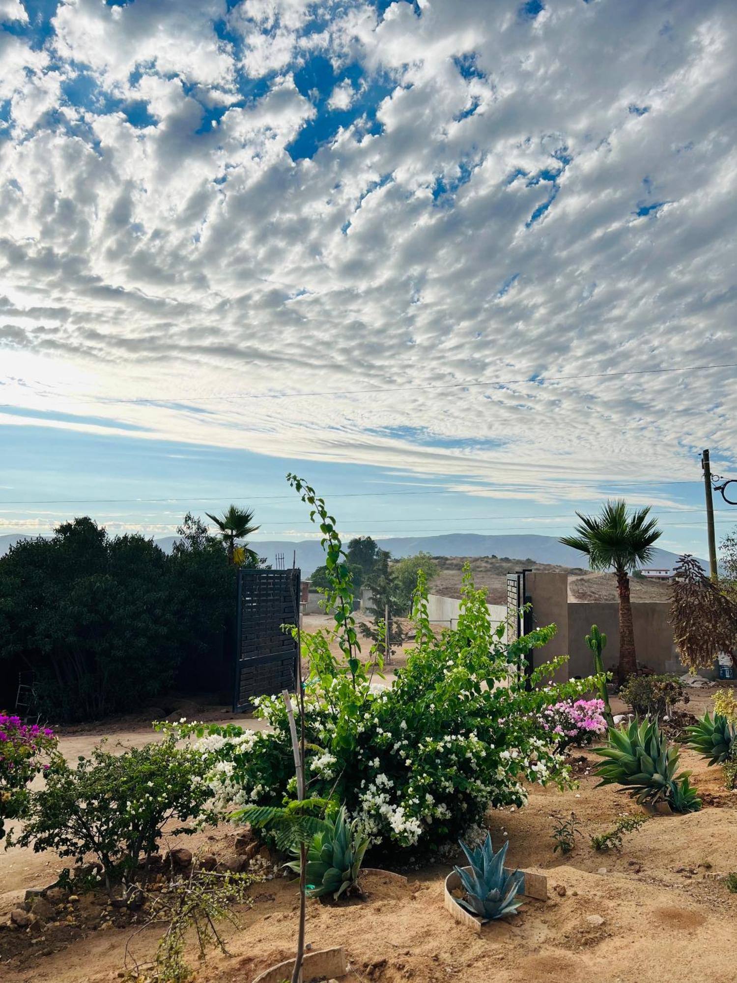 Rancho Matalote En Valle De Guadalupe Exterior photo